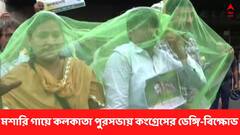 বাড়ছে ডেঙ্গি, গায়ে মশারি জড়িয়ে পুরসভা অভিযানে কংগ্রেস