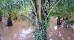 In Pics : बारामती तालुक्यात पावसाचं थैमान; पिकांचं मोठं नुकसान