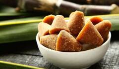 Health Tips : साखर की गूळ सर्वात जास्त हानिकारक काय? वाचा सविस्तर