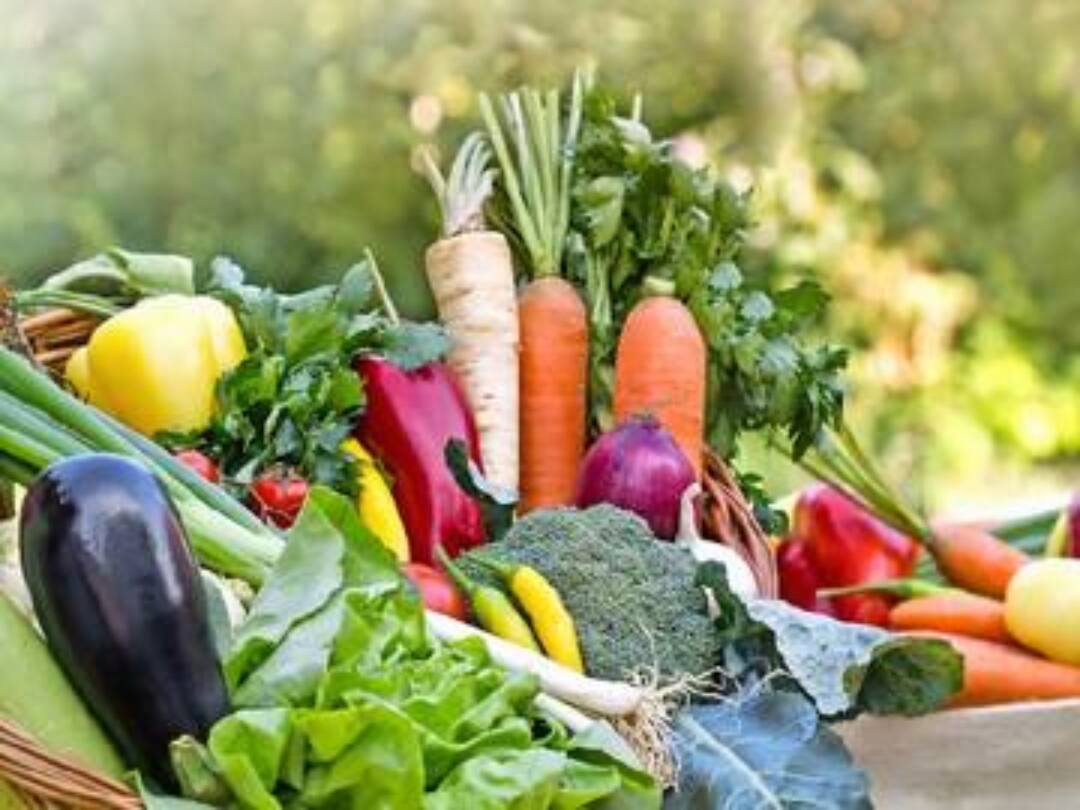 Vegetables Price List: குறைந்த முருங்கை.. ஏற்றம் கண்ட எலுமிச்சை.. இன்றைய காய்கறி விலை நிலவரம்!