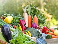 Vegetables Price List: குறைந்த முருங்கை.. ஏற்றம் கண்ட எலுமிச்சை.. இன்றைய காய்கறி விலை நிலவரம்!