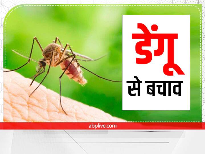 Bihar Dengue News: Dengue Cases in Bihar Dengue Treatment at Home Dengue Symptoms and Precaution Bihar Dengue News: बिहार में जानलेवा हुआ डेंगू, घर में करें ये छोटे उपाय और इस बीमारी से बचिए, पढ़ें अपने काम की खबर