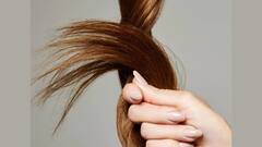 Hair Care Tips: কোন পদ্ধতি মেনে চললে চুলের ডগা ফাটার সমস্যা কমবে?