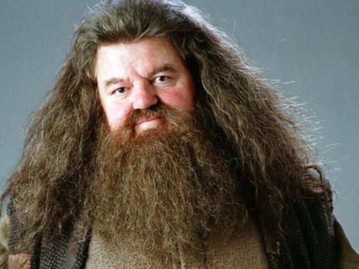 Actor Robbie Coltrane who played Hagrid Harry Potter films passes away at 72 Robbie Coltrane Death: 'हैरी पॉटर' फेम रॉब्बी कोलट्रेन का निधन, 72 साल की उम्र में दुनिया को कहा अलविदा
