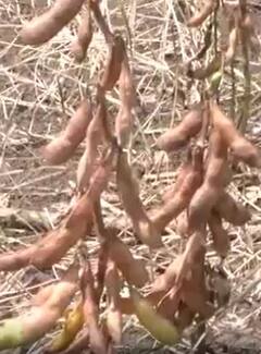 Photo : नांदेड जिल्ह्याला परतीच्या पावसाचा तडाखा