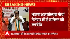 Breaking News : BJP पहली बार मुस्लिम पसंमादा समाज का सम्मेलन Lucknow में करेगी | UP News