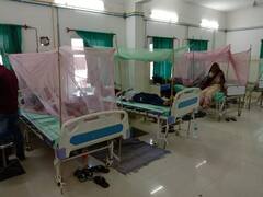 प्रयागराज में बेकाबू हो रहे हैं डेंगू के हालात, हाईकोर्ट की फटकार के बाद भी सुस्त है सरकारी अमले की रफ़्तार