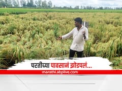 मुंबई, पुण्यासह राज्याला परतीच्या पावसानं झोडपलं, शहरातील रस्ते पाण्यात, गावखेड्यात नदी-नाले तुडुंब