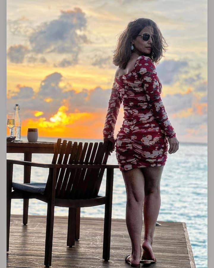 दोघेही लवकरच लग्न करणार आहेत. दोघांनी अनेक प्रोजेक्ट्समध्ये एकत्र काम केले आहे. (फोटो सौजन्य :realhinakhan/इंस्टाग्राम)