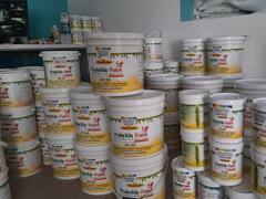 रायपुर की महिलाएं गोबर से पेंट बनाकर कमा रहीं मुनाफा, बाजार में डिमांड बढ़ी