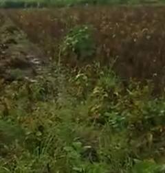 Photo : नांदेड जिल्ह्याला परतीच्या पावसाचा तडाखा