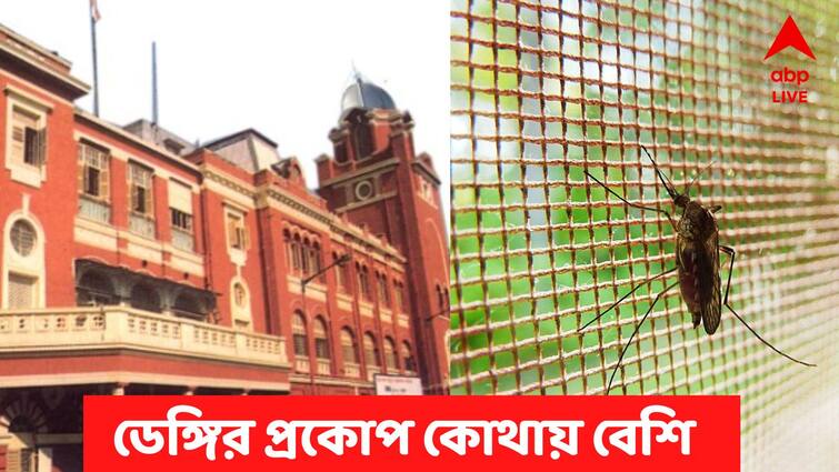 Dengue situation is alarming in Kolkata and North 24 Pargana, KMC area is highly affected Dengue :  রাজ্যে ডেঙ্গি পরিস্থিতি ভয়াবহ, সব পুরসভাকে পিছনে ফেলল কলকাতা পুরসভা