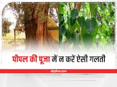 Peepal Puja: इस समय भूलकर भी न करें पीपल की पूजा, चली जाएगी घर की बरकत