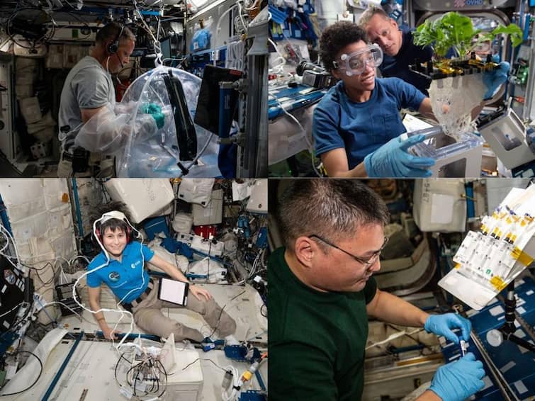 NASA’s SpaceX Crew-4 To Depart From ISS Tonight. Here’s A Glimpse Into The Research They Conducted Scientific Journey In Space During The Six Month Stay NASA’s SpaceX Crew-4 To Depart From ISS Tonight. Here’s A Glimpse Into Their Scientific Journey In Space