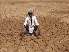 सूखा की चपेट में बिहार के 7841 गांव, हर परिवार को 3,500 रुपये का सहायतानुदान देगी सरकार