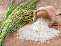 Rice Benefits: ડાયટમાં આ 5 કારણે ચોખાને સામેલ કરવા જોઇએ, જાણો ફાયદા