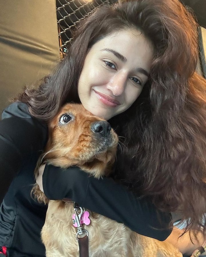 दिशा के चाहने वाले उनकी खूबसूरत तस्वीरों पर धड़ाधड़ लाइक और कमेंट कर उन्हें अक्सर स्पेशल फील करवाते नजर आते हैं.