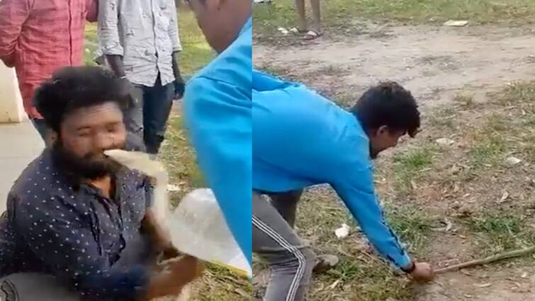 Viral Video The person was trying to kiss the snake in return Viral Video: ਸੱਪ ਨੂੰ ਚੁੰਮਣ ਦੀ ਕੋਸ਼ਿਸ਼ ਕਰ ਰਿਹਾ ਸੀ ਵਿਅਕਤੀ, ਬਦਲੇ 'ਚ ਸੱਪ ਨੇ ਚੁੰਮਿਆ ਤਾਂ ਪੈ ਗਈਆਂ ਭਾਜੜ੍ਹਾਂ