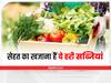 Green Vegetables: सेहत का खजाना हैं हरी सब्जियां, सर्दियों में जरूर खाएं ये 5 पत्तेदार सब्जियां