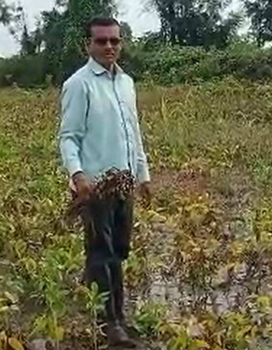 परतीच्या पावसाचा शेती पिकांना मोठा फटका