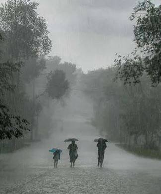 ठाणे परिसरात पावसाची हजेरी