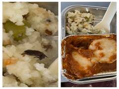 यात्री को खाने में मिला मरा हुआ कॉकरोच, विस्तारा एयरलाइंस ने दिया ये जवाब