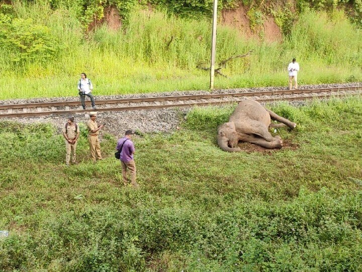 Coimbatore Accident : கோவையில் பரபரப்பு.. இரயில் மோதி காட்டு யானை உயிரிழப்பு.. தொடரும் சோகம்