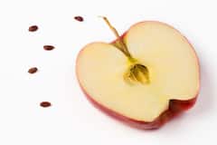 Apple Seeds Sides Effects: સફરજનનું બીજ ભૂલથી પણ ન ખાતાં, થાય છે આ ગંભીર નુકસાન