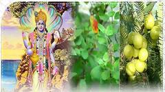 কার্তিক মাসে এই ৪টি কাজ করলে ভগবান বিষ্ণুর আশীর্বাদ পাওয়া যায়