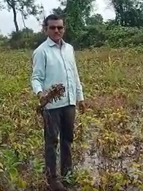 शेतकरी संकटात