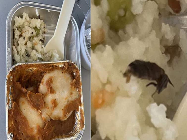 Passenger Tweets About Cockroach In Meal Air Vistara Responds Viral Pic : என்னய்யா இது..! விமானத்தில் வழங்கிய உப்புமாவில் கரப்பான் பூச்சி...! அதிர்ச்சியில் உறைந்த பயணி..