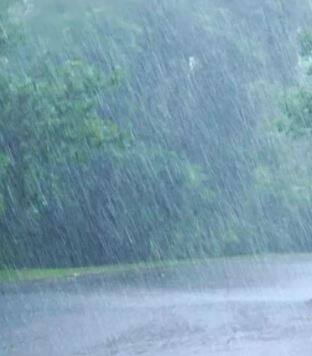 मुंबईमध्ये पावसाची हजेरी