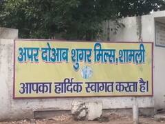 शामली: तीन शुगर मिलों पर करीब साढ़े चार सौ करोड़ रुपए गन्ने का बकाया, भुगतान का आदेश