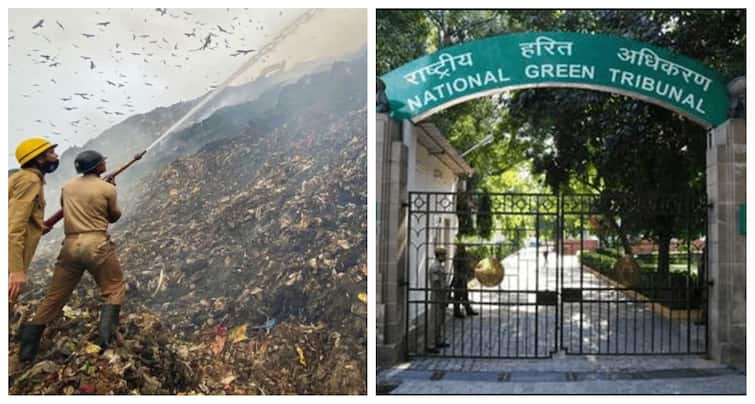 NGT imposes Rs 900 crore fine on Delhi govt for improper solid waste management NGT fine on Delhi: குப்பை கழிவுகள் மேலாண்மையில் குறைபாடு காரணமாக டெல்லி அரசுக்கு ரூ.900 கோடி அபராதம்