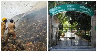 NGT fine on Delhi: குப்பை கழிவுகள் மேலாண்மையில் குறைபாடு காரணமாக டெல்லி அரசுக்கு ரூ.900 கோடி அபராதம்