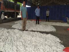 खत्म हुआ मंडियों का दायरा, अब इंटर स्टेट ट्रेडिंग के जरिये ज्यादा अच्छा मुनाफा कमा रहे हैं किसान