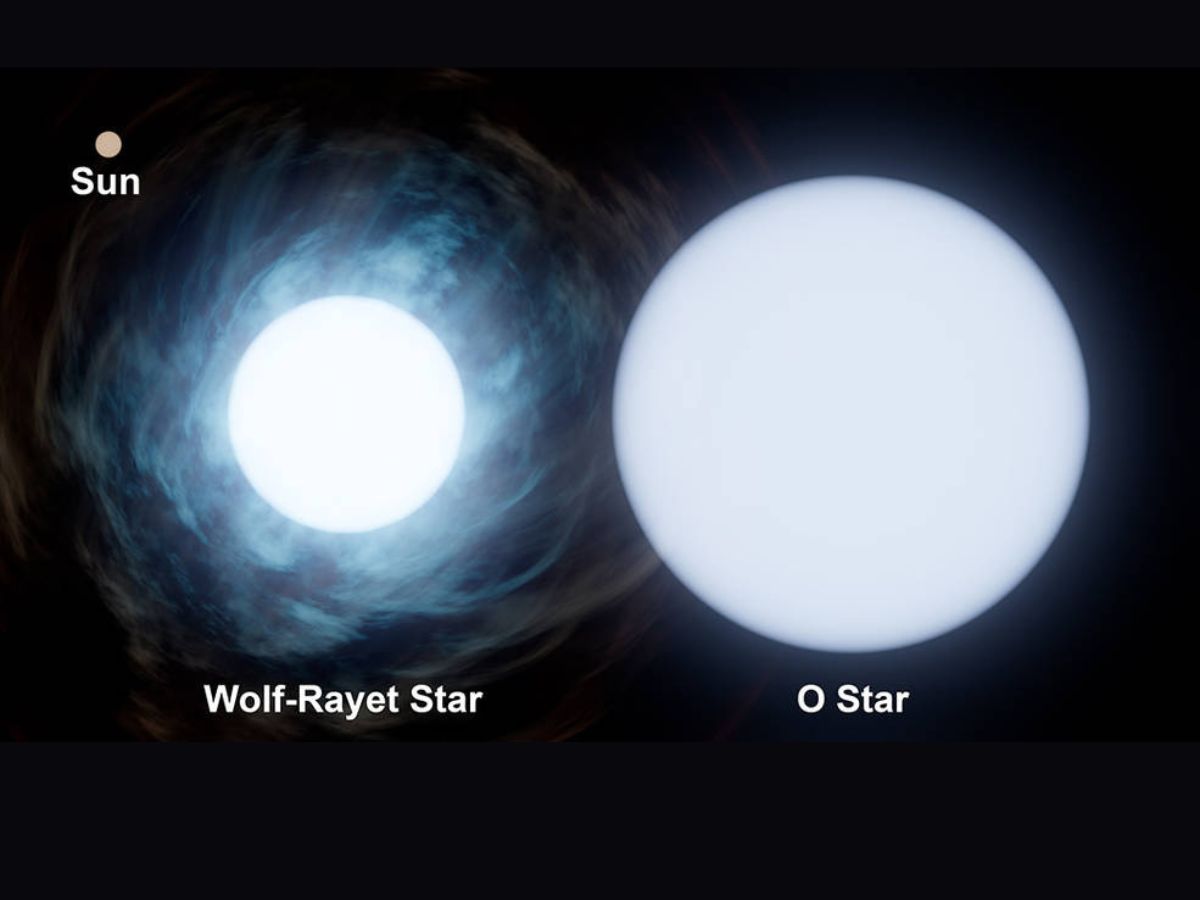 Every eight years, the two stars in Wolf-Rayet 140 produce shells of dust. The shells appear like concentric rings, as seen in Webb's image. When the two stars came close together and their stellar winds collided, compressing the gas and forming dust, each ring was created. Image: NASA