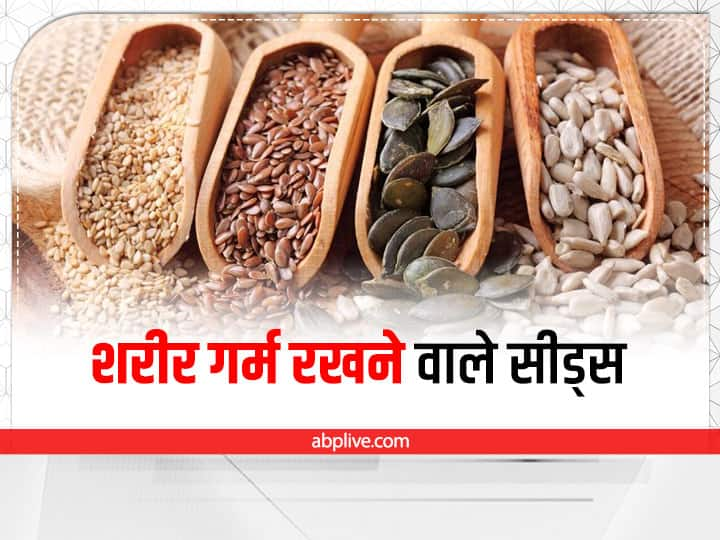 Seeds For Health: सर्दियों में शरीर को गर्म रखने के लिए सीड्स जरूर खाएं. इससे इम्यूनिटी मजबूत होगी और शरीर गर्म रहेगा. जानिए ठंड में कौन से सीड्स खाने चाहिए. 