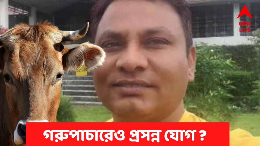 CBI Finds Link Between SSC Recruitment Scam And Cow Smuggling Case SSC Cow Smuggling: 'SSC কাণ্ডের সঙ্গে যোগসূত্র গরু পাচার মামলার' কী খুঁজে পেল সিবিআই?