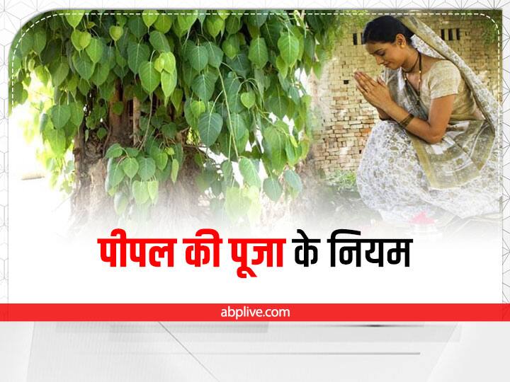 पीपल की पूजा भूलकर भी सूर्योदय से पहले न करें. ऐसा करने पर घर में दरिद्रता का वास होता है.शास्त्रों के अनुसार सूर्योदय से पूर्व पीपल में मां लक्ष्मी की बहन अलक्ष्मी निवास करती हैं. जो दरिद्रता का प्रतीक हैं. वहीं रविवार को पीपल में जल न चढ़ाएं.