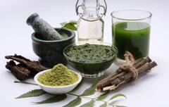 Diabetes Treatment : ਆਯੁਰਵੇਦ ਨਾਲ ਹੋ ਸਕਦੈ ਸ਼ੂਗਰ ਦਾ ਇਲਾਜ, ਜਾਣੋ ਕਿਵੇਂ