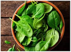 Green Vegetable Benefits : हिरव्या भाज्या आरोग्याचा खजिना; हिवाळ्यात 'या' 5 पालेभाज्या नक्की खा