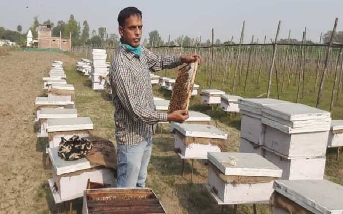 Gujarat Agriculture Scheme: કોમ્પ્રિહેન્સિવ હોર્ટિકલ્ચર ડેવલપમેન્ટ અને મિશન મધમાખી યોજનાનો લાભ લેવા ગુજરાતના ખેડૂતો i-khedut પર આ તારીખ સુધીમાં કરો અરજી, જાણો કયા ડોક્યુમેંટની પડશે જરૂર Gujarat Agriculture Scheme: For horticulture scheme benefit farmers can apply on i khedut portal before this date Gujarat Agriculture Scheme: કોમ્પ્રિહેન્સિવ હોર્ટિકલ્ચર ડેવલપમેન્ટ અને મિશન મધમાખી યોજનાનો લાભ લેવા ગુજરાતના ખેડૂતો i-khedut પર આ તારીખ સુધીમાં કરો અરજી, જાણો કયા ડોક્યુમેંટની પડશે જરૂર