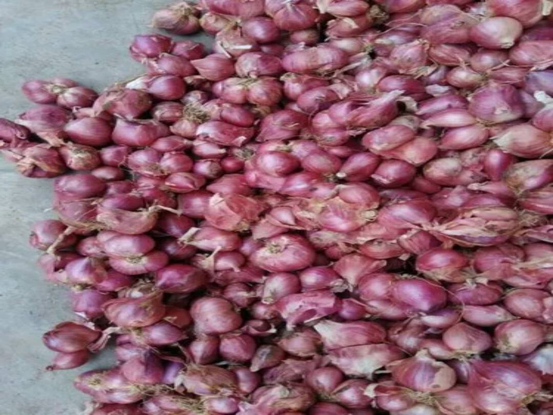 Onion Price: சதம் அடித்த சின்ன வெங்காய விலை..! கண்ணீர் விடும் மக்கள்..!