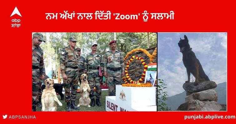 Army Dog Zoom Tribute : ਸ੍ਰੀਨਗਰ ‘ਚ ਨਮ ਅੱਖਾਂ ਨਾਲ ਦਿੱਤੀ ‘Zoom’ ਨੂੰ ਸਲਾਮੀ