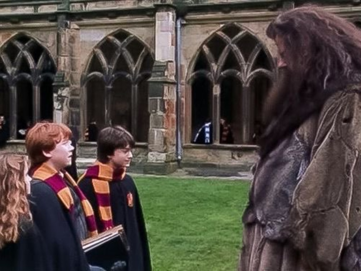 Hagrid and the Golden Trio (Image Source: twitter/@Mia_HarryPotter)