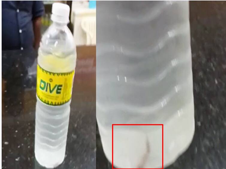 A lizard lying in a water bottle sold at a Puducherry theatre TNN தியேட்டரில் விற்கப்பட்ட தண்ணீர் பாட்டிலில் கிடந்த பல்லி - வாடிக்கையாளர் அதிர்ச்சி