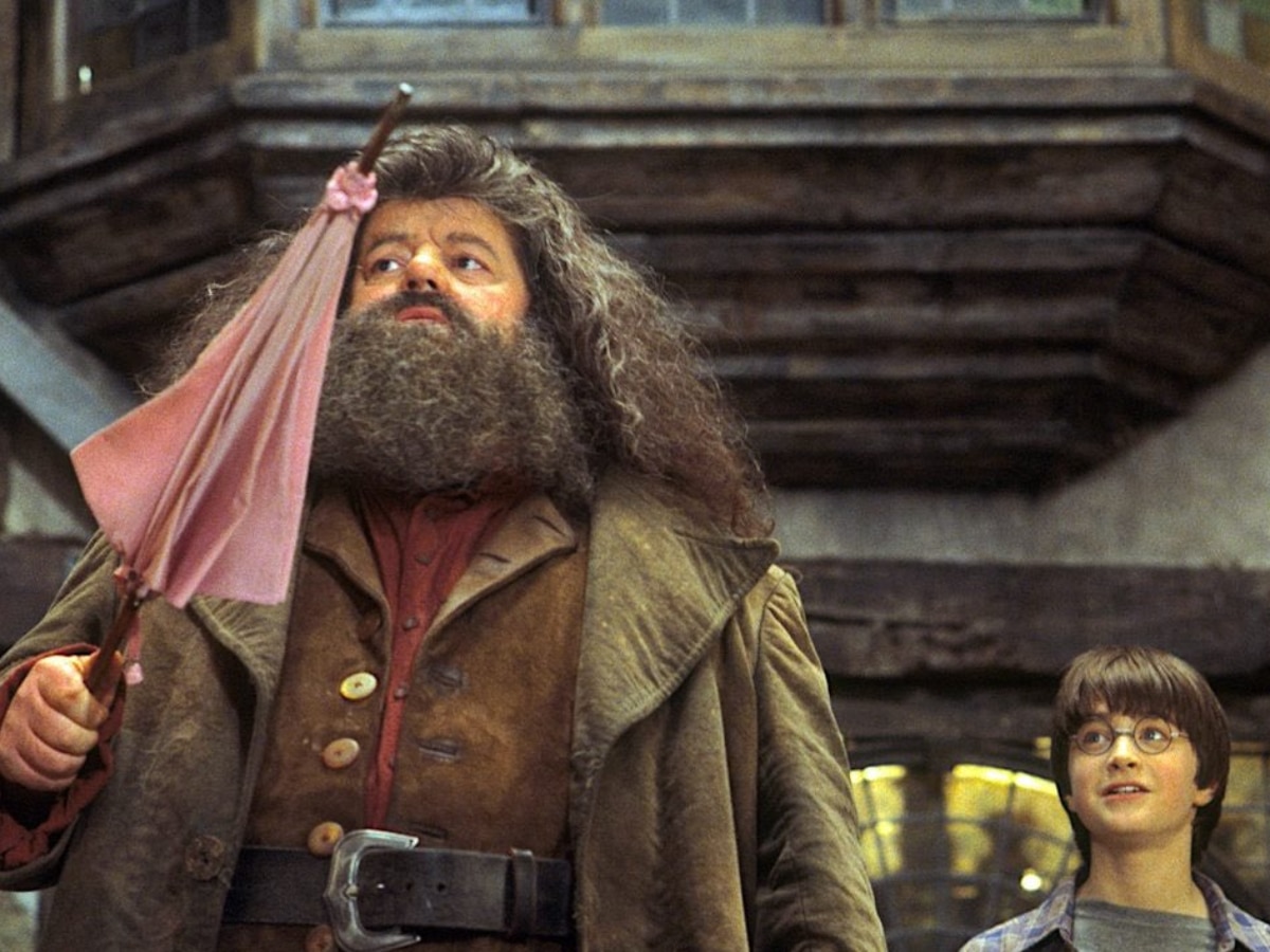 Hagrid and Harry at Diagon Alley (Image Source: twitter/@HPotterUniverse)
