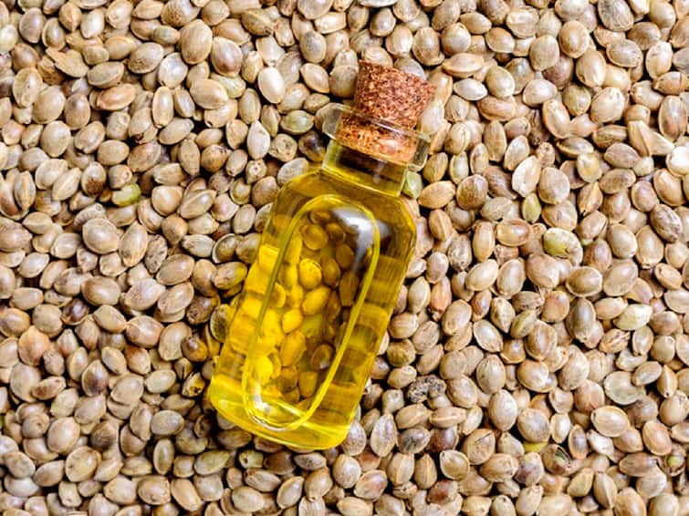 6 Effective Health Benefits of Hemp Seeds Ayurveda Tips: அதென்ன சணல் விதை? உடலுக்கு நோய் எதிர்ப்பு சக்தி, ஊட்டச்சத்துக்களை வழங்கும் சணல் விதைகள்!