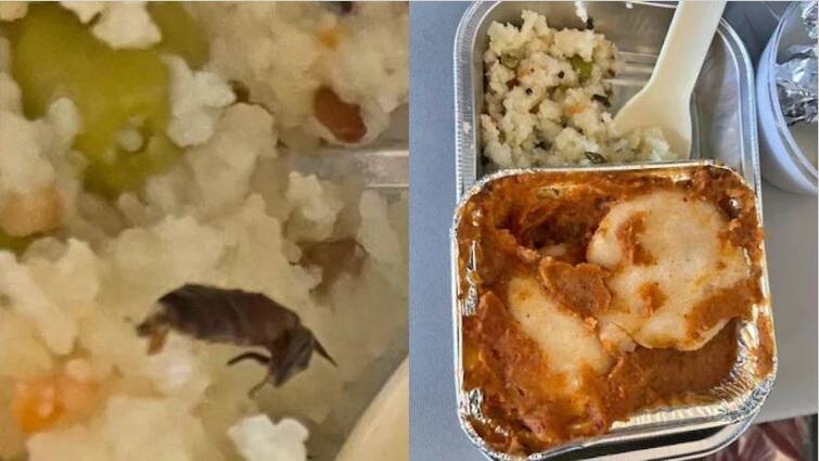 A dead cockroach came out of the passenger's food in the flight! ਫਲਾਈਟ 'ਚ ਯਾਤਰੀ ਨੂੰ ਖਾਣੇ 'ਚੋਂ ਨਿਕਲਿਆ ਮਰਿਆ ਹੋਇਆ ਕਾਕਰੋਚ! ਟਵਿੱਟਰ 'ਤੇ Photo ਹੋਈ Viral , ਲੋਕਾਂ ਨੇ ਕਹੀ ਇਹ ਗੱਲ